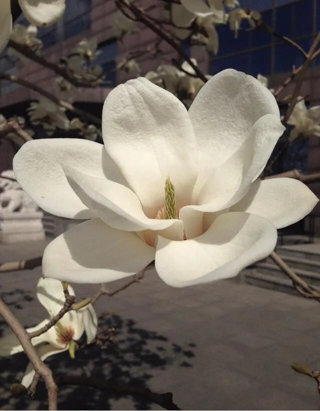 不能说清明节快乐,那这天要如何互相祝福?