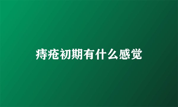 痔疮初期有什么感觉