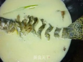 上汤秧草鳜鱼