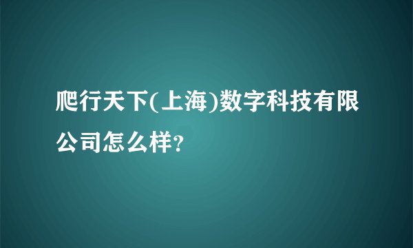爬行天下(上海)数字科技有限公司怎么样？