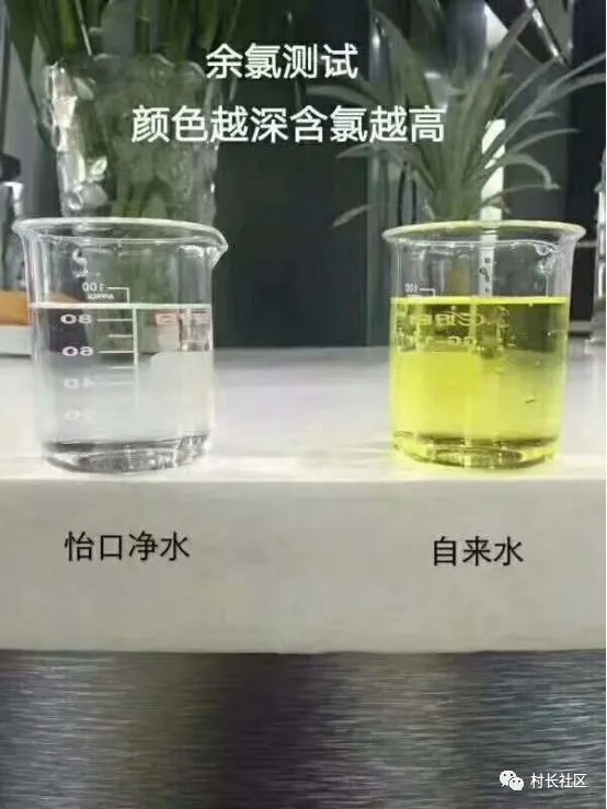 自来水不敢直接喝的举手!