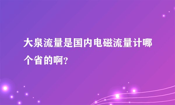 大泉流量是国内电磁流量计哪个省的啊?