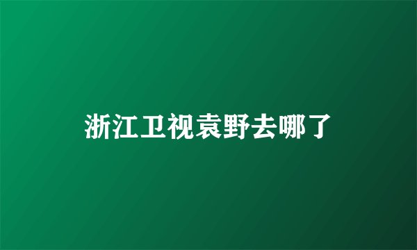 浙江卫视袁野去哪了
