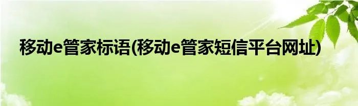 移动e管家标语(移动e管家短信平台网址)