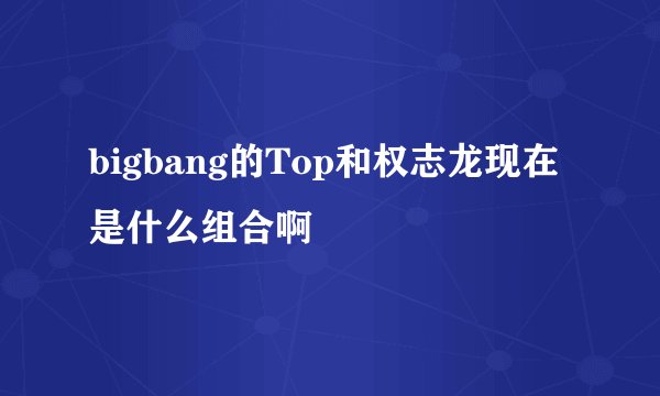 bigbang的Top和权志龙现在是什么组合啊