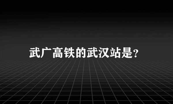 武广高铁的武汉站是？