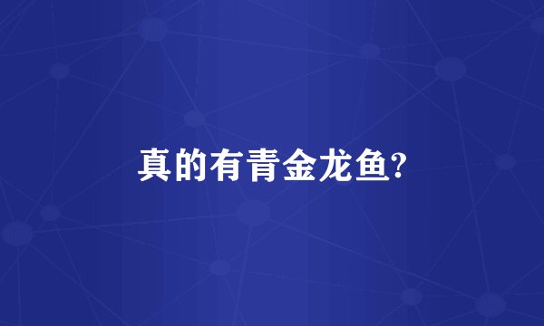真的有青金龙鱼?