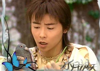张晋个人简介,张晋蔡少芬,张晋蔡少芬天天向上