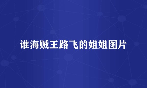 谁海贼王路飞的姐姐图片
