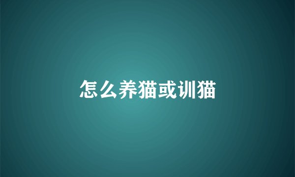 怎么养猫或训猫