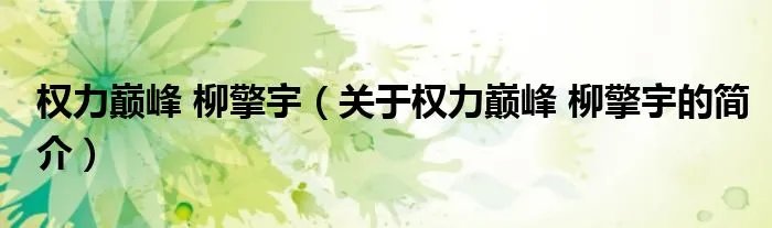 权力巅峰 柳擎宇（关于权力巅峰 柳擎宇的简介）