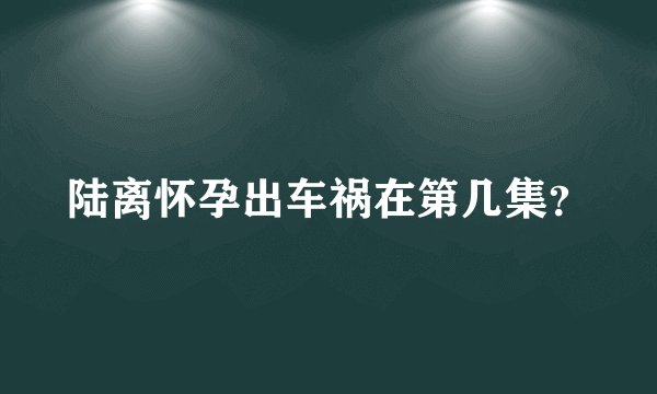 陆离怀孕出车祸在第几集？