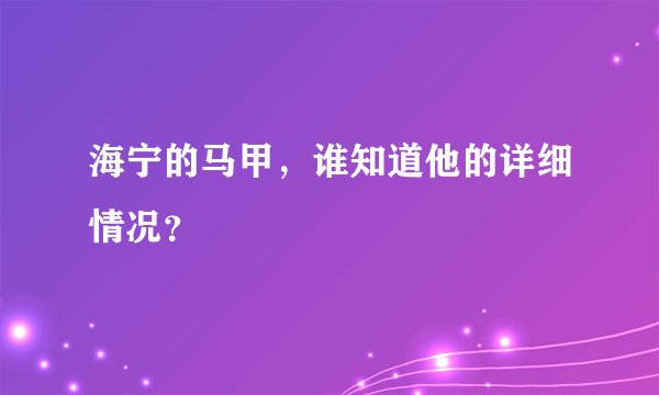 海宁的马甲，谁知道他的详细情况？