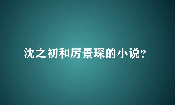 沈之初和厉景琛的小说？