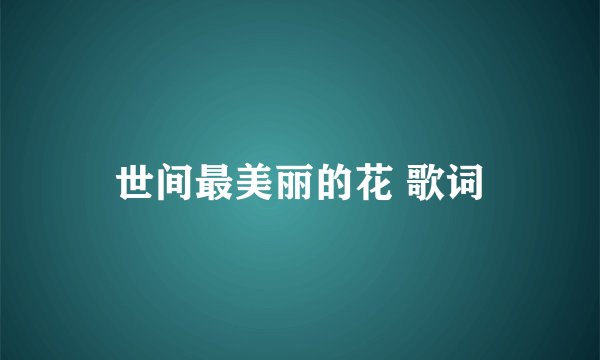 世间最美丽的花 歌词