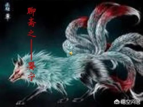 用一句话证明你看过《聊斋志异》,你会怎么说?
