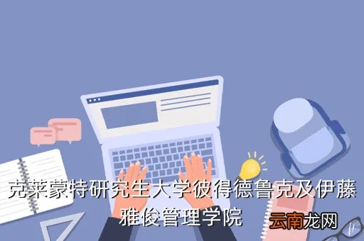 彼得德鲁克管理学院,彼得德鲁克管理学院 怎么样