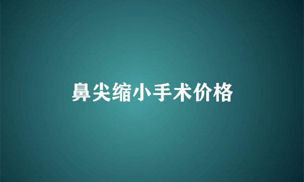 鼻尖缩小手术价格