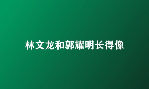 林文龙和郭耀明长得像