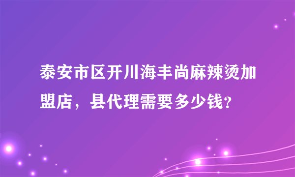 泰安市区开川海丰尚麻辣烫加盟店，县代理需要多少钱？