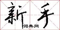 新手
