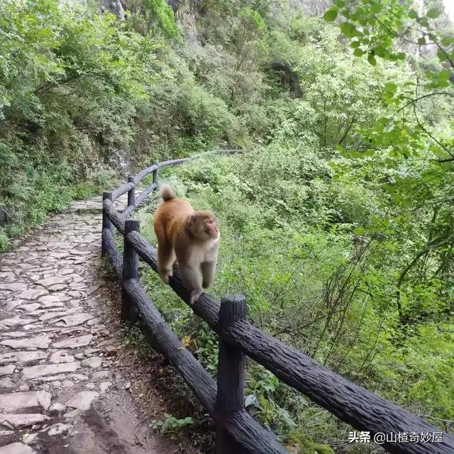 旅行途中你都见过哪些罕见的风景?
