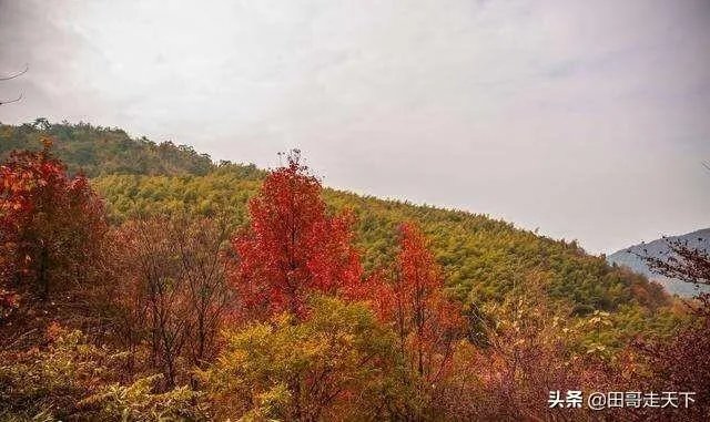 七井山
