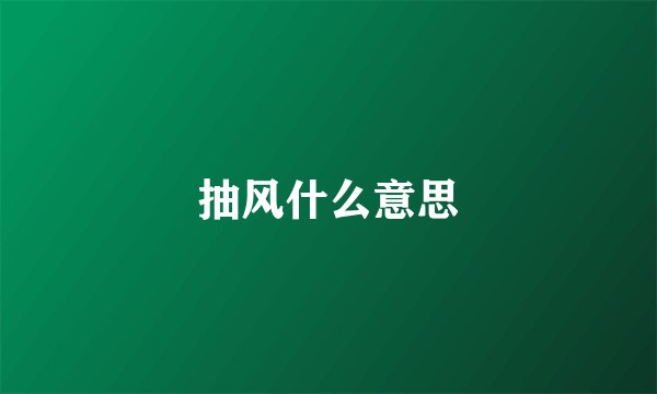 抽风什么意思
