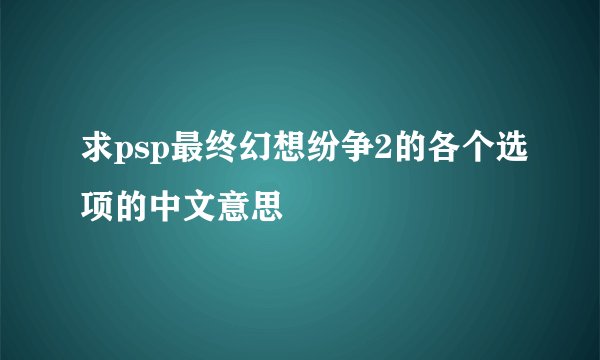 求psp最终幻想纷争2的各个选项的中文意思