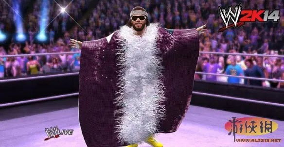 《WWE 2K14》IGN 8.7分 完美演绎摔角兴衰史!