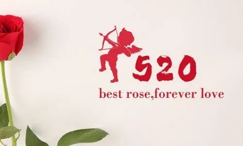 5.20是什么节日