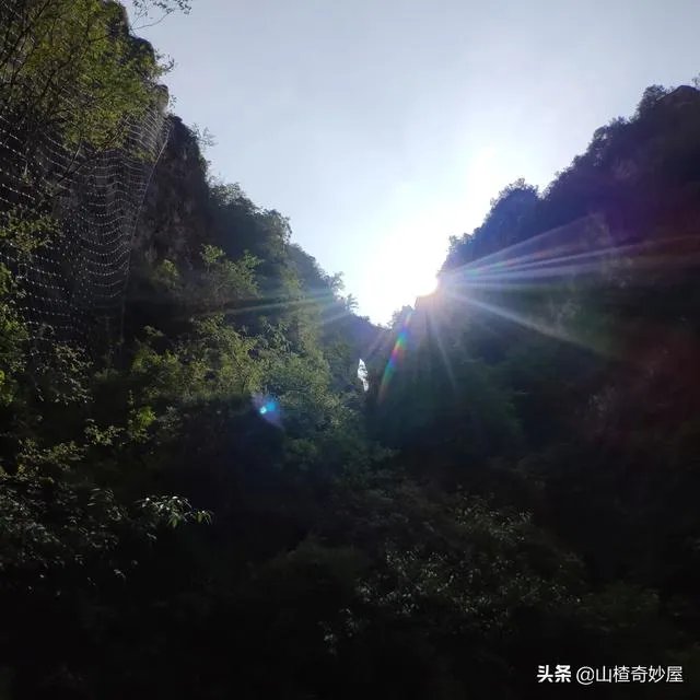 旅行途中你都见过哪些罕见的风景?