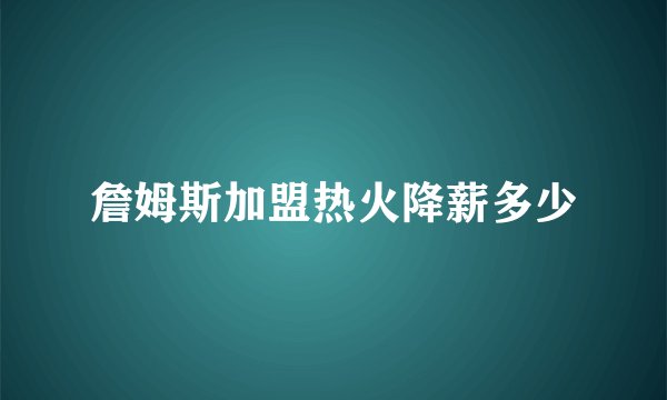 詹姆斯加盟热火降薪多少