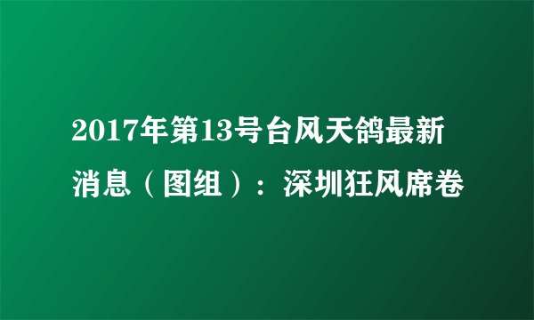 2017年第13号台风天鸽最新消息(图组):深圳狂风席卷
