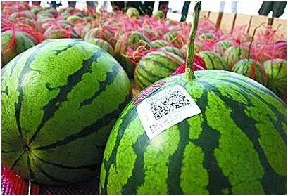 农产品溯源是什么意思?