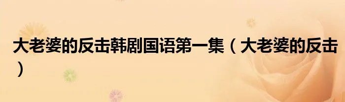 大老婆的反击韩剧国语第一集（大老婆的反击）