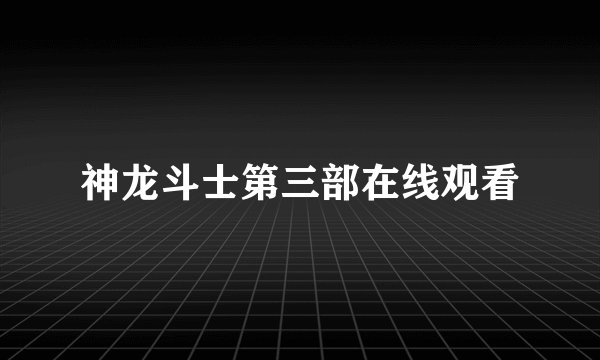 神龙斗士第三部在线观看