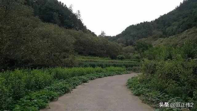 国庆长假,你们打算加班还是放假去城市周边旅游呢?
