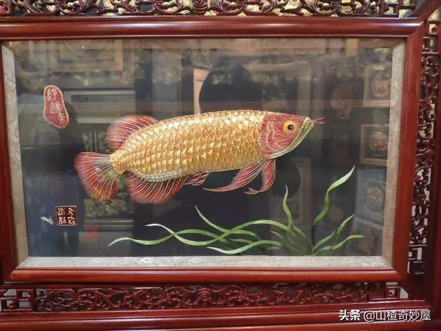 旅行途中你都见过哪些罕见的风景?