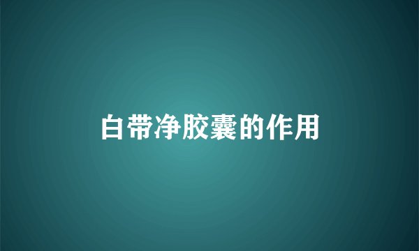 白带净胶囊的作用