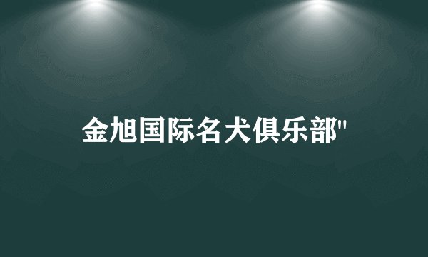 金旭国际名犬俱乐部