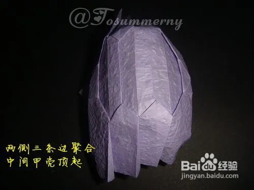 【天の折馆】金钱龟折纸实拍教程