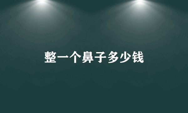 整一个鼻子多少钱
