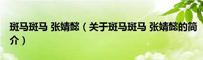 斑马斑马 张婧懿（关于斑马斑马 张婧懿的简介）