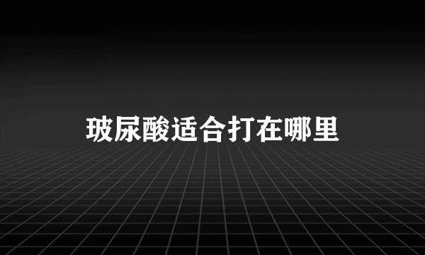 玻尿酸适合打在哪里