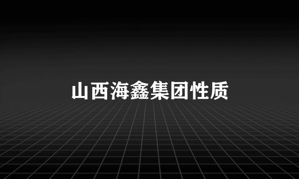 山西海鑫集团性质