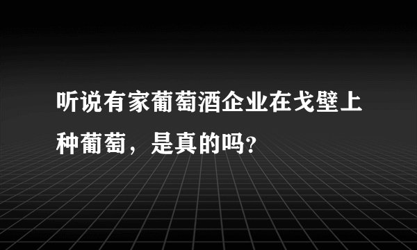 听说有家葡萄酒企业在戈壁上种葡萄，是真的吗？