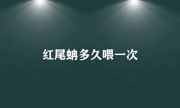 红尾蚺多久喂一次