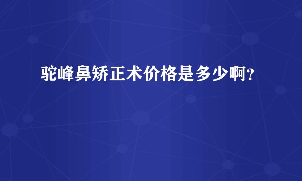 驼峰鼻矫正术价格是多少啊？