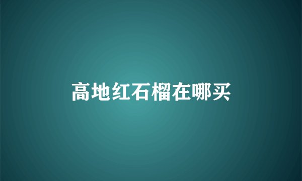 高地红石榴在哪买